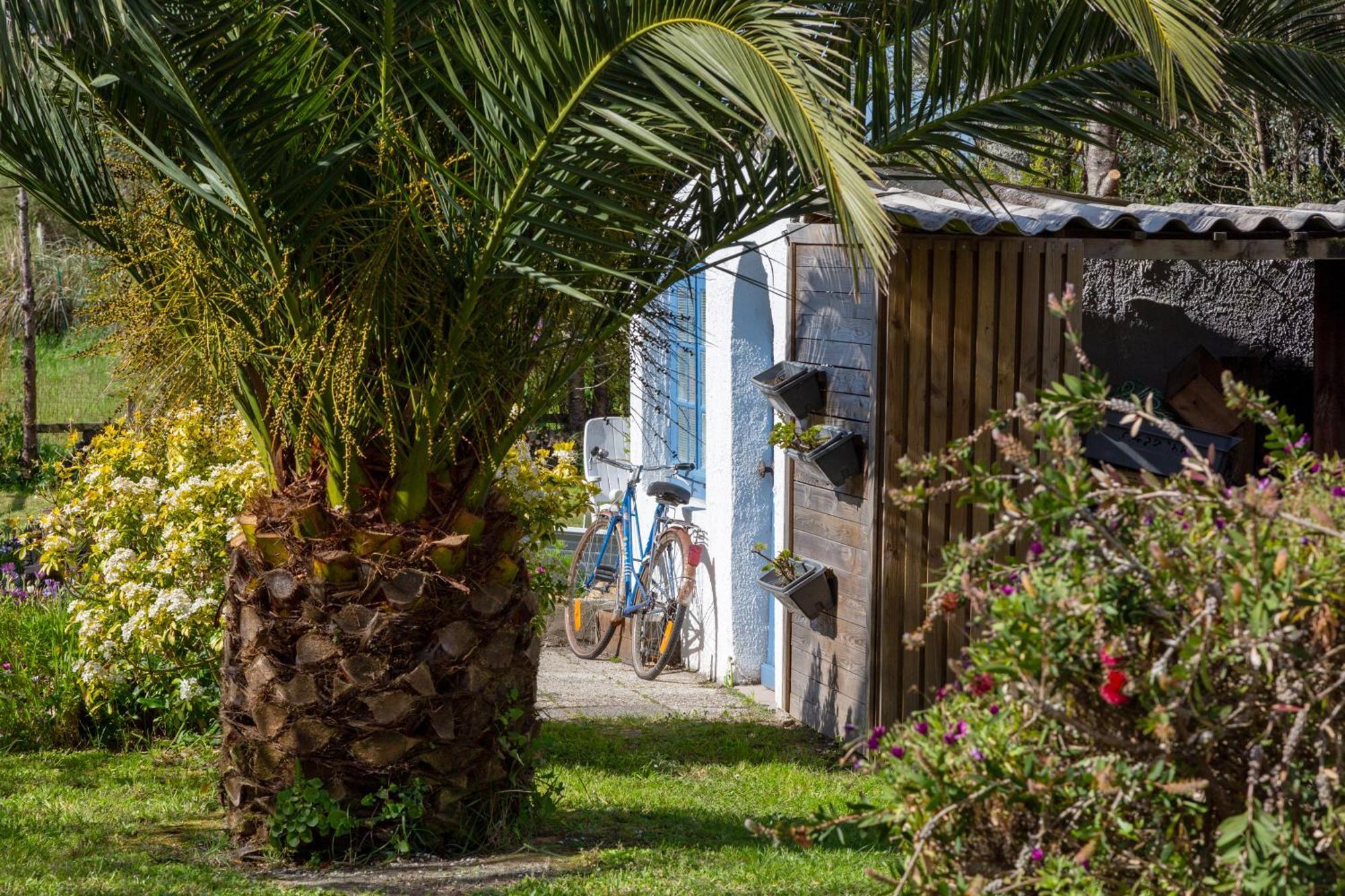 Maison Gavres - Bord De Mer Villa Exterior photo